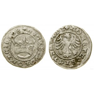 Polen, halber Pfennig, 1508, Krakau