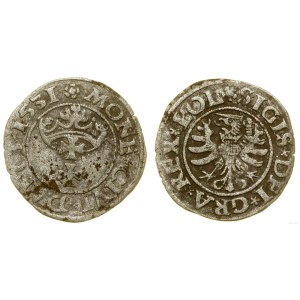 Poland, sheląg, 1531, Gdansk