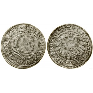 Polsko, penny, 1532, Toruň
