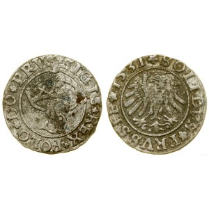 Poland, sheląg, 1531, Toruń