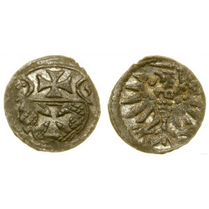 Poland, denarius, 1555, Elbląg