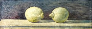 Andreas Schiller, Lemons