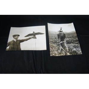 Ensemble de deux photographies sur la Chasse au Faucon