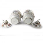 Pair of porcelain vases