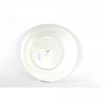 Porcelain plate