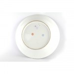 Polychrome porcelain plate
