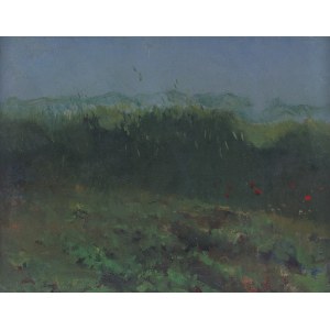 Marian Kratochwil, Poppies in Greenery