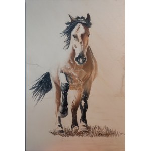 Anna Kinga Troczynska, Horse