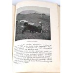 GOETEL- WYSPA NA CHMURNEJ PÓŁNOCY [ISLANDIA] wyd.1928r. ilustr.