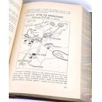 BORKIEWICZ- DZIEJE 1 PUŁKU PIECHOTY LEGJONÓW 1929