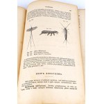 BOAS- PODRĘCZNIK ZOOLOGII 1893 setki rycin