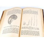 BOAS- PODRĘCZNIK ZOOLOGII 1893 setki rycin