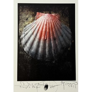 Ryszard Swierad, printmaking, 38x30 cm, 2011