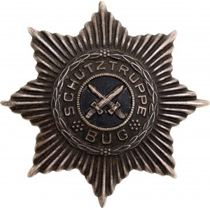 Weimar Republic Bug Star of the Bug Protection Force-Schutztruppe Bug 1919