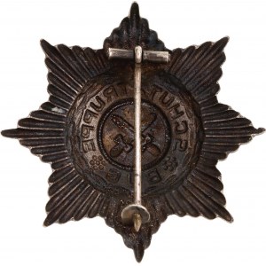 Weimar Republic Bug Star of the Bug Protection Force-Schutztruppe Bug 1919