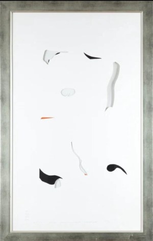 Jan Berdyszak, Apres passe-par-tout, organique, own technique on paper, 54x90 cm 20/25, 2005