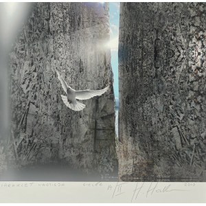 Hanna Haska vel Hanna Krulikowska, Paraklet - Nadzieja, technika własna, druk cyfrowy, giclée, odbitka autorska A/II, 30x30 cm, 2010