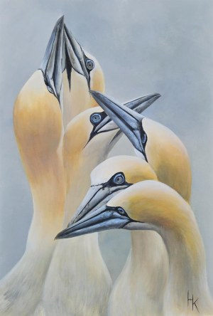 Khrystyna Hladka, Courting Gannets, 2023