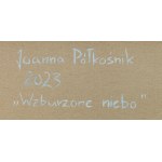 Joanna Półkośnik (ur. 1981), Wzburzone niebo, 2023