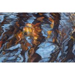 Margaret Biel, Water-Tree Movement, from the series Nature.... - Reflections of an Autumn Park, 2022