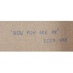 Daria Uss (b. 1997, Good City), Now You See Me, 2023