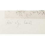 Günter Grass (1927 Gdaňsk - 2015 Lübeck), Hai uber Land (Žralok nad zemí), 1973