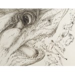 Günter Grass (1927 Gdańsk - 2015 Lubeka), Hai uber Land (Shark over land), 1973