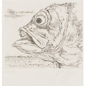 Günter Grass (1927 Gdaňsk - 2015 Lübeck), Fische Kopf, 1973