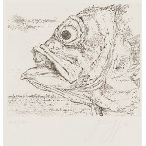 Günter Grass (1927 Gdansk - 2015 Lübeck), Fische Kopf, 1973