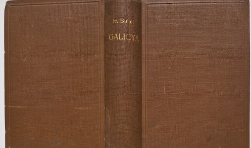 Bujak, Franciszek ; Galicya Volume II; Forestry, Mining, Industry : Lvov-Warsaw, 1910