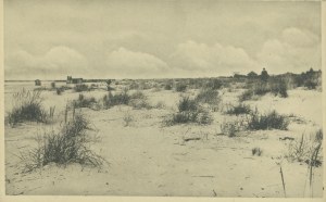 Palanga - Coastal dunes overgrown by vegetation, Wyd. PTK, Warsaw, No. 7