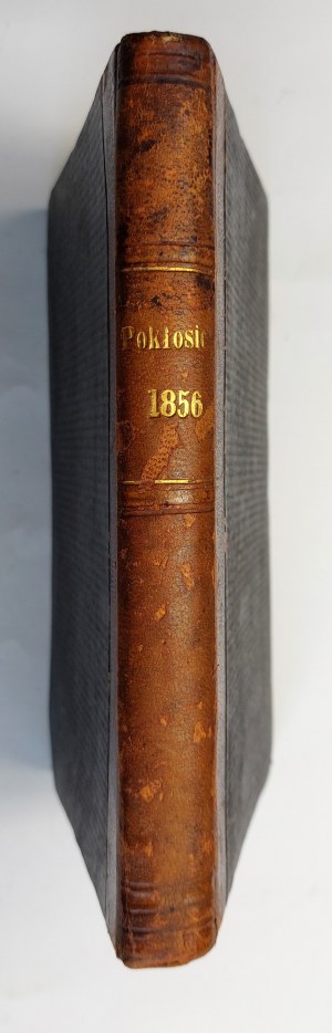 [Norwid] Après coup : un recueil littéraire au profit des orphelins, 1856