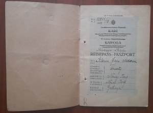 Passport in the name of Klein Jan Adam