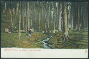 Bielsko Biała - Zigeunerwald bei Bielitz, Ver. K.E.T.