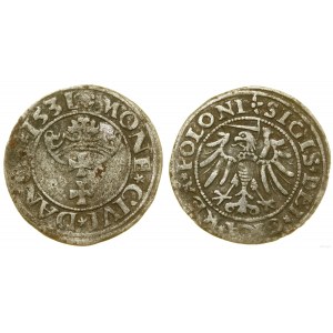 Polen, Scheląg, 1531, Danzig
