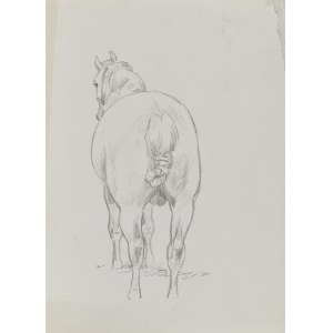 Ludwik MACIĄG (1920-2007), A horse shown from behind