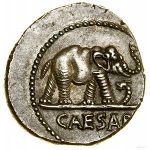 Denár, (49-48 pred Kr.), putovná vojenská mincovňa; Av: Slon...