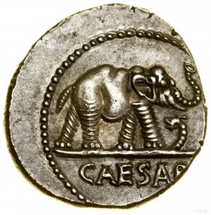 Denario, (49-48 a.C.), zecca militare itinerante; Av: Elefante...