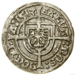 Penny, 1513, Königsberg ; Av : aigle brandebourgeois avec bouclier....