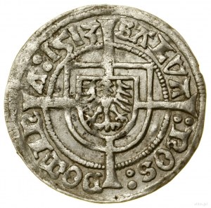 Pfennig, 1513, Königsberg; Av: Brandenburger Adler mit Schild....