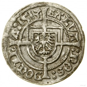 Groš, 1513, Königsberg; Av: Braniborská orlice se štítem....