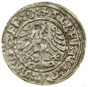 Penny, 1513, Königsberg; Av: aquila di Brandeburgo con scudo....