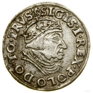 Trojak, 1539, Gdansk; bust of the king wearing a headpiece and crown....