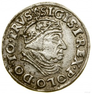 Trojak, 1539, Gdansk; busta kráľa v čiapke a korunke....