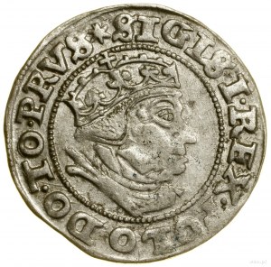 Grosz, 1540, Gdansk; on obverse end of PRVS legend; ...