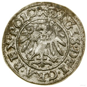 Sheląg, 1539, Gdansk; date written in small numbers, in l...