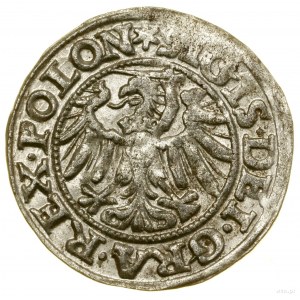 Sheląg, 1546, Gdansk; initial marks: on obverse star....