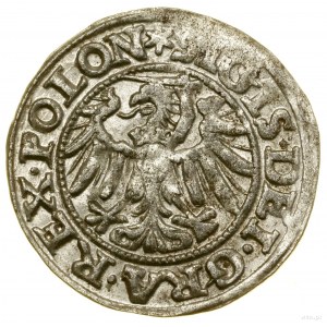 Sheląg, 1546, Gdaňsk; iniciály: na averzu hvězda....