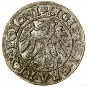 Szeląg, 1546, Gdańsk ; dans la légende de l'avers POLONI ; Białk....