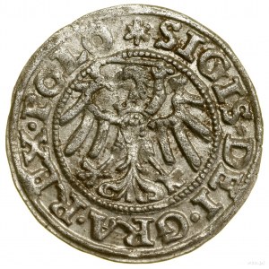 Sheląg, 1547, Gdansk; počiatočné značky: na averze hviezda....